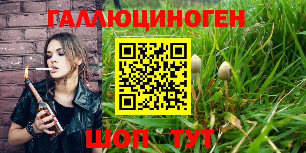 Псилоцибиновые грибы ЛСД  где купить наркоту  Шатура  Вход с VPN 