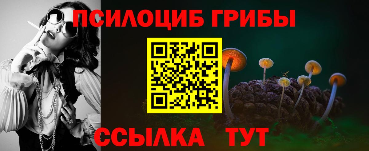 Галлюциногенные грибы GOLDEN TEACHER Шатура